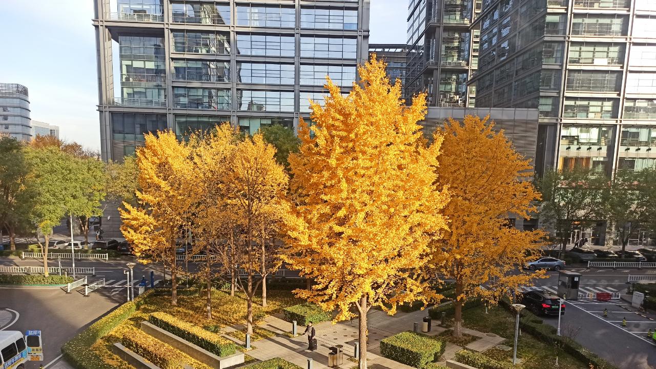 两性篇章：破解相爱容易相处难的秘籍