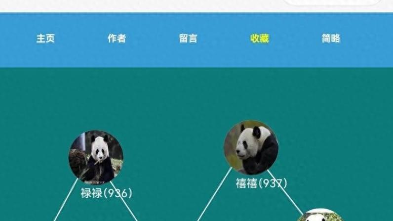 同母异父的兄妹，法律和现实怎么看？