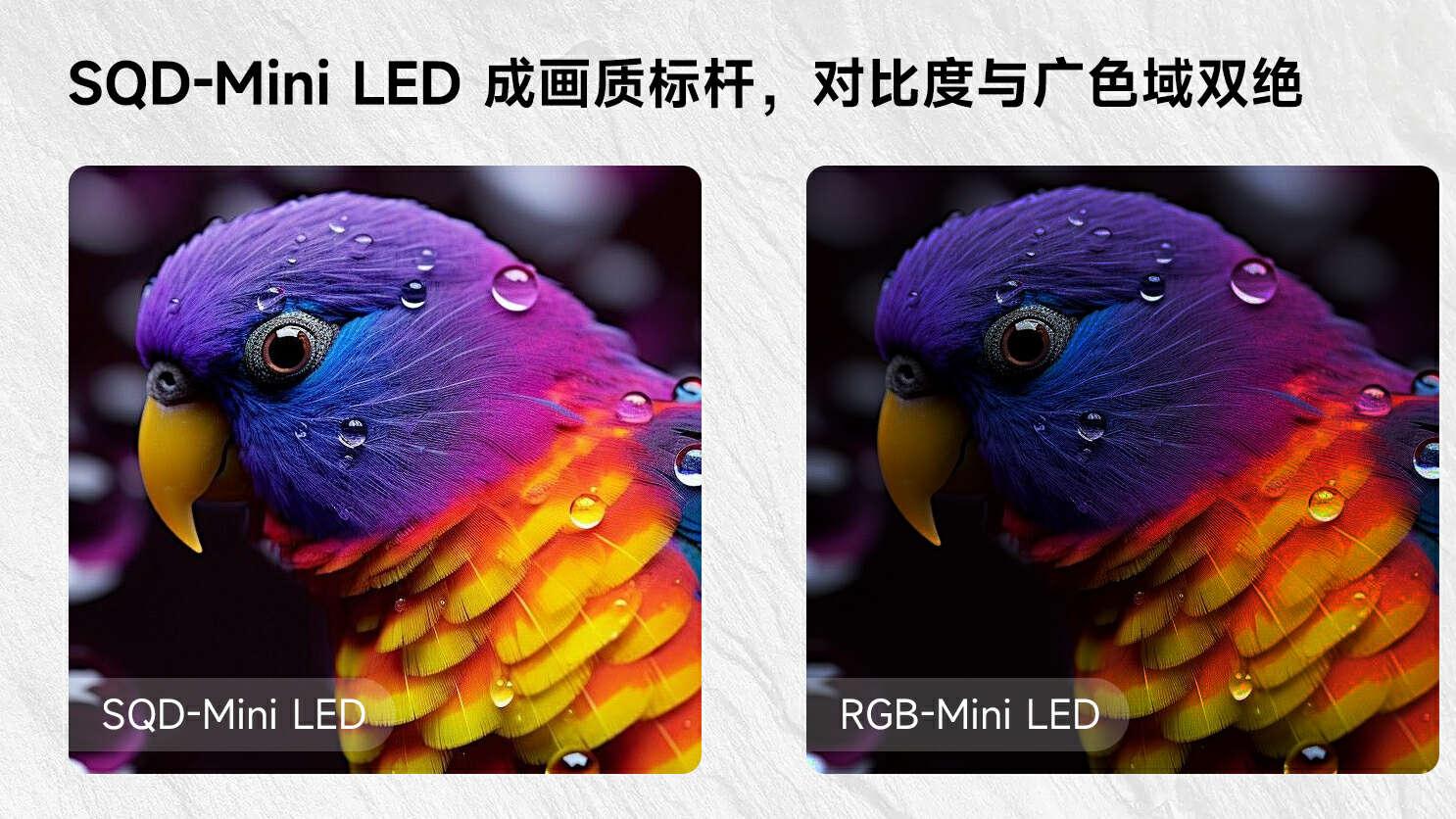 SQD-Mini LED炸场登场！TCL X11L成2025屠榜机皇！