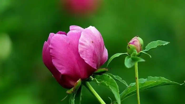 一段感情想要顺，就要学会：装傻