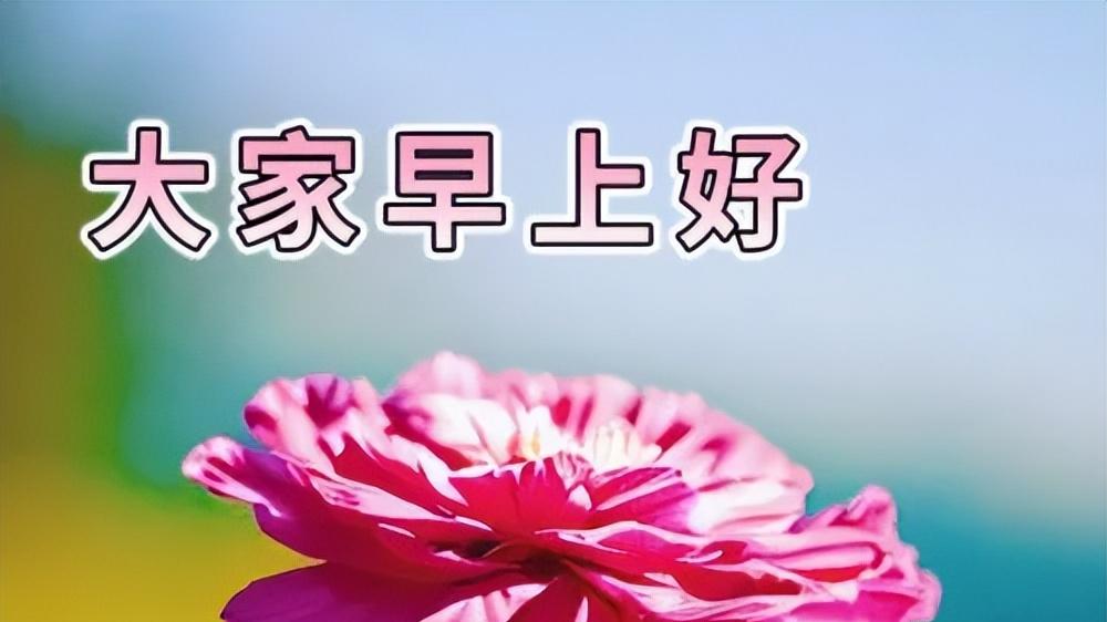 早上好金句早安问候语，暖心文案短句干净，开心迎接今天