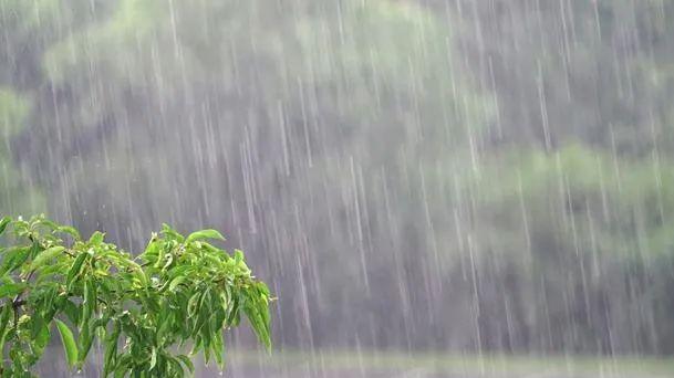 “不怕十三晴，就怕十三淋”，今日四月十三，下雨会怎样？看农谚咋说