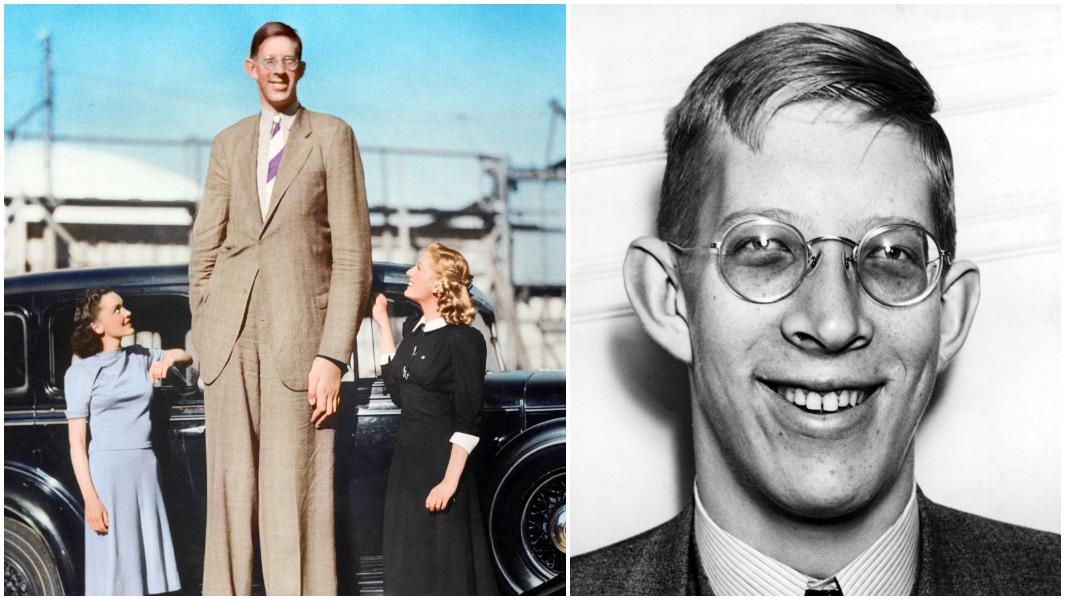 为什么人类骨骼不会无限制生长？