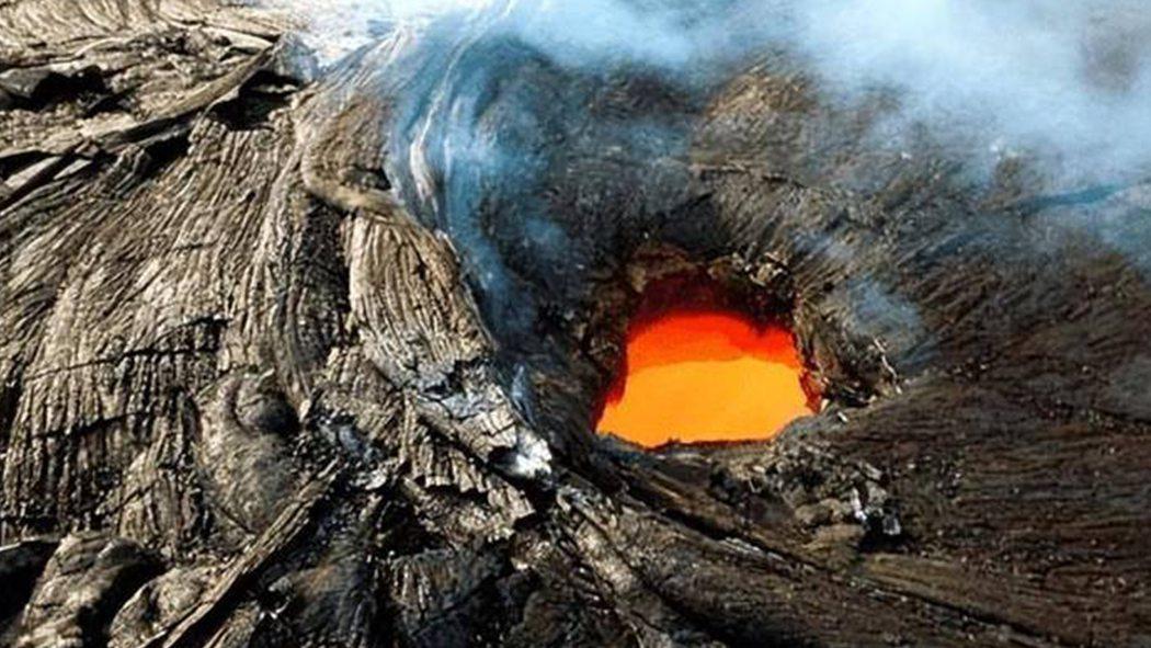 南极火山口惊现高温植物！科学家检测到未知DNA，或为外星生命样本