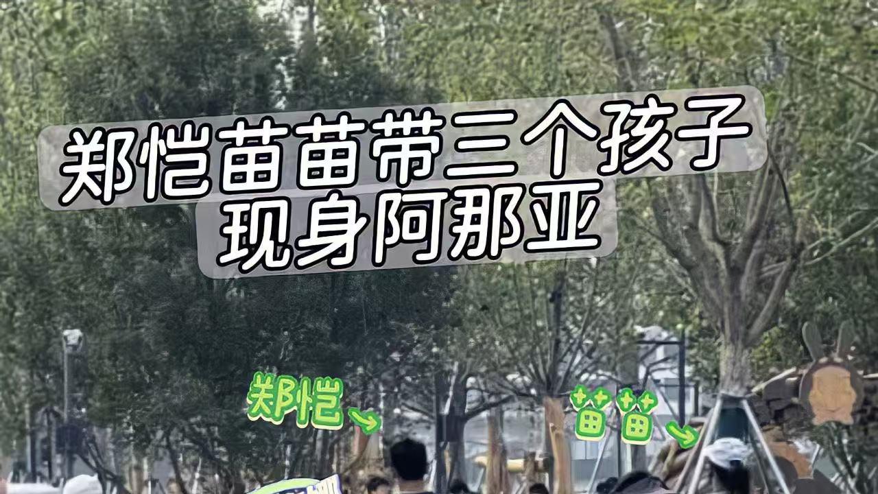 郑恺、苗苗带三娃阿那亚被拍，看苗苗的种菜哲学是如何收服郑恺的