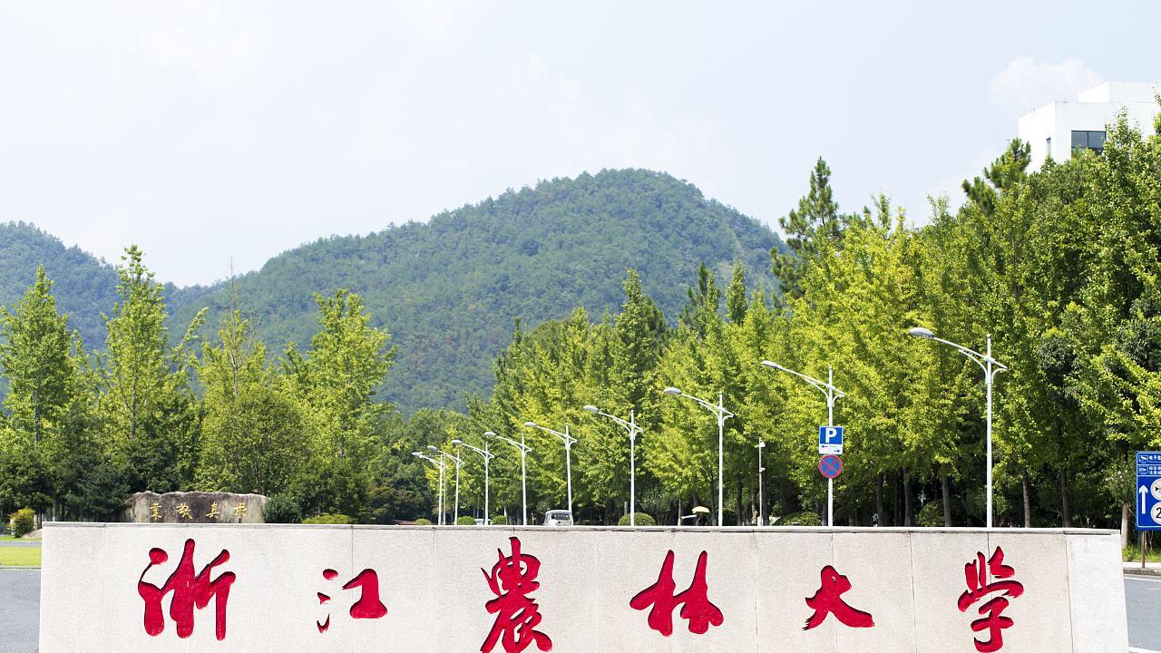 2026年浙江农林大学继续教育学院成人高考报名招生简章