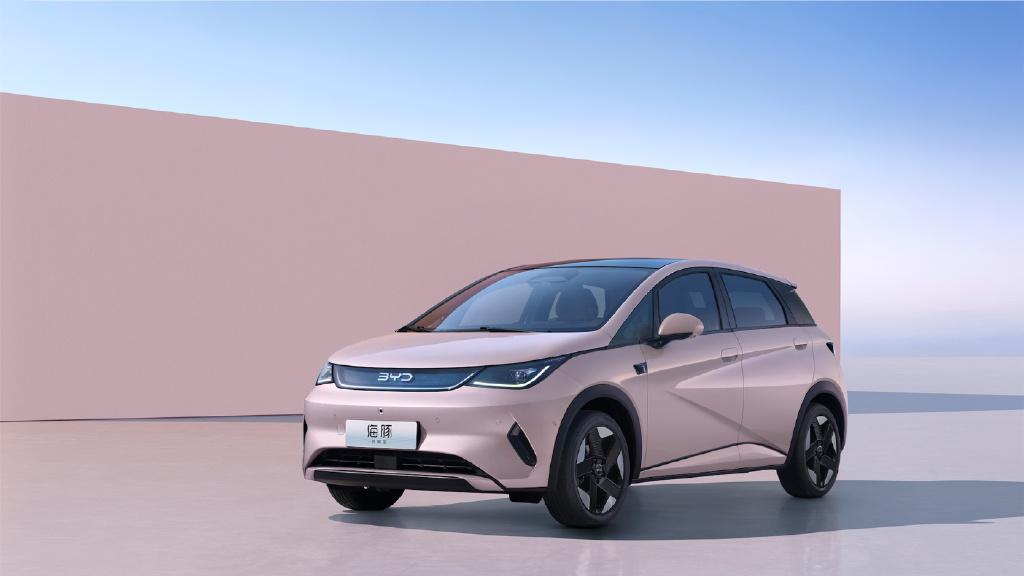 “王悟空说车”侵权比亚迪案判决，支付赔偿款等共计 31.38 万元