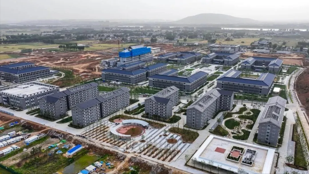 育阳老师：2025年5所新大学首招生，低分捡漏好机会！