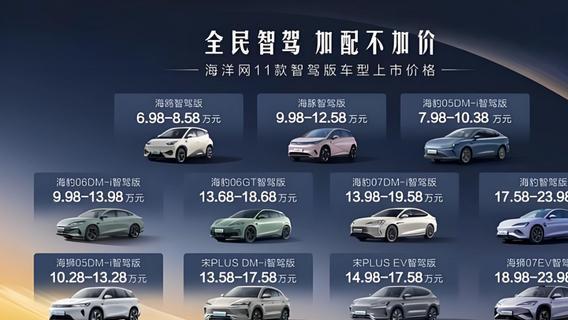 网友：2025年“不降价”“没智驾”的车都不能买了！