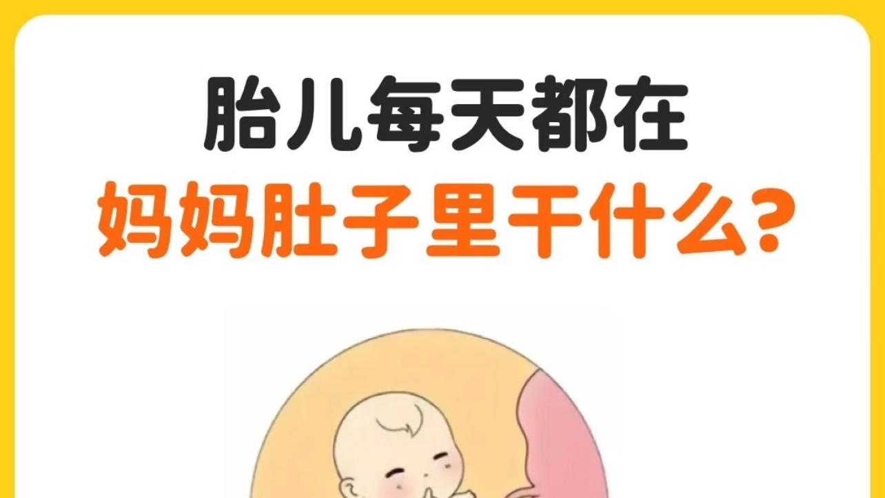 带你来看看，胎儿每天都在妈妈肚子里干什么？