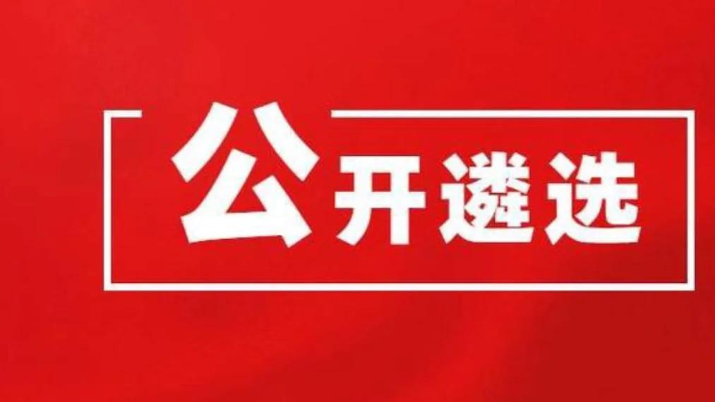 遴选干部提拔都快？别被 “快车道” 神话骗了