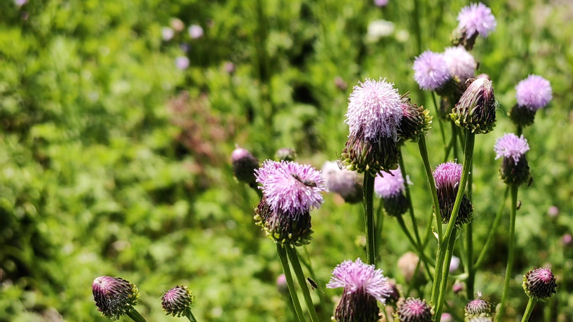 高效办公室，更多笑脸，更少冷脸