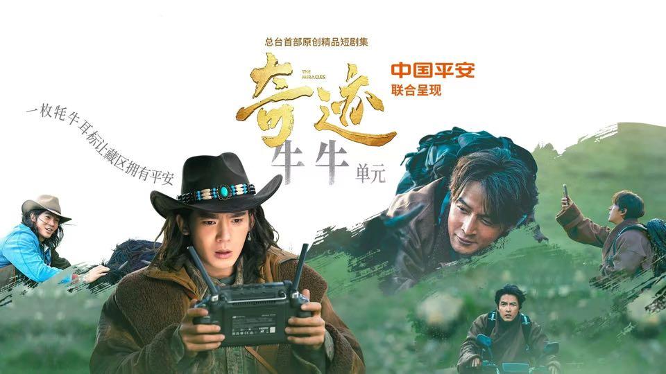 牦牛险助力畜牧业发展，平安援藏实践亮相央视短剧