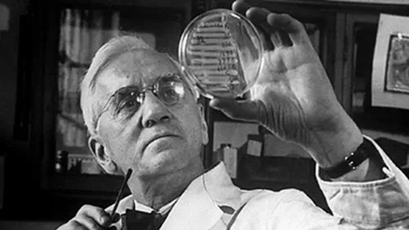 青霉素是种植善念结出来的果