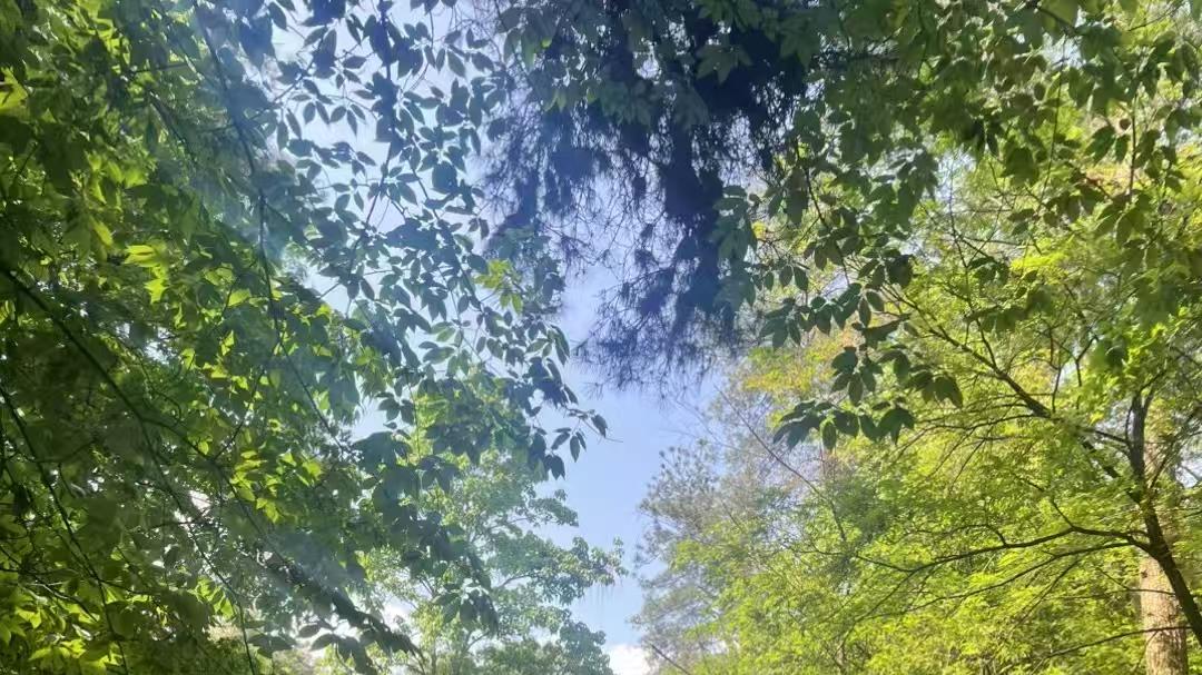 清凉揭秘！UL507: 2024标准下电风扇的适用圈、内容宝藏与测试关卡大曝光