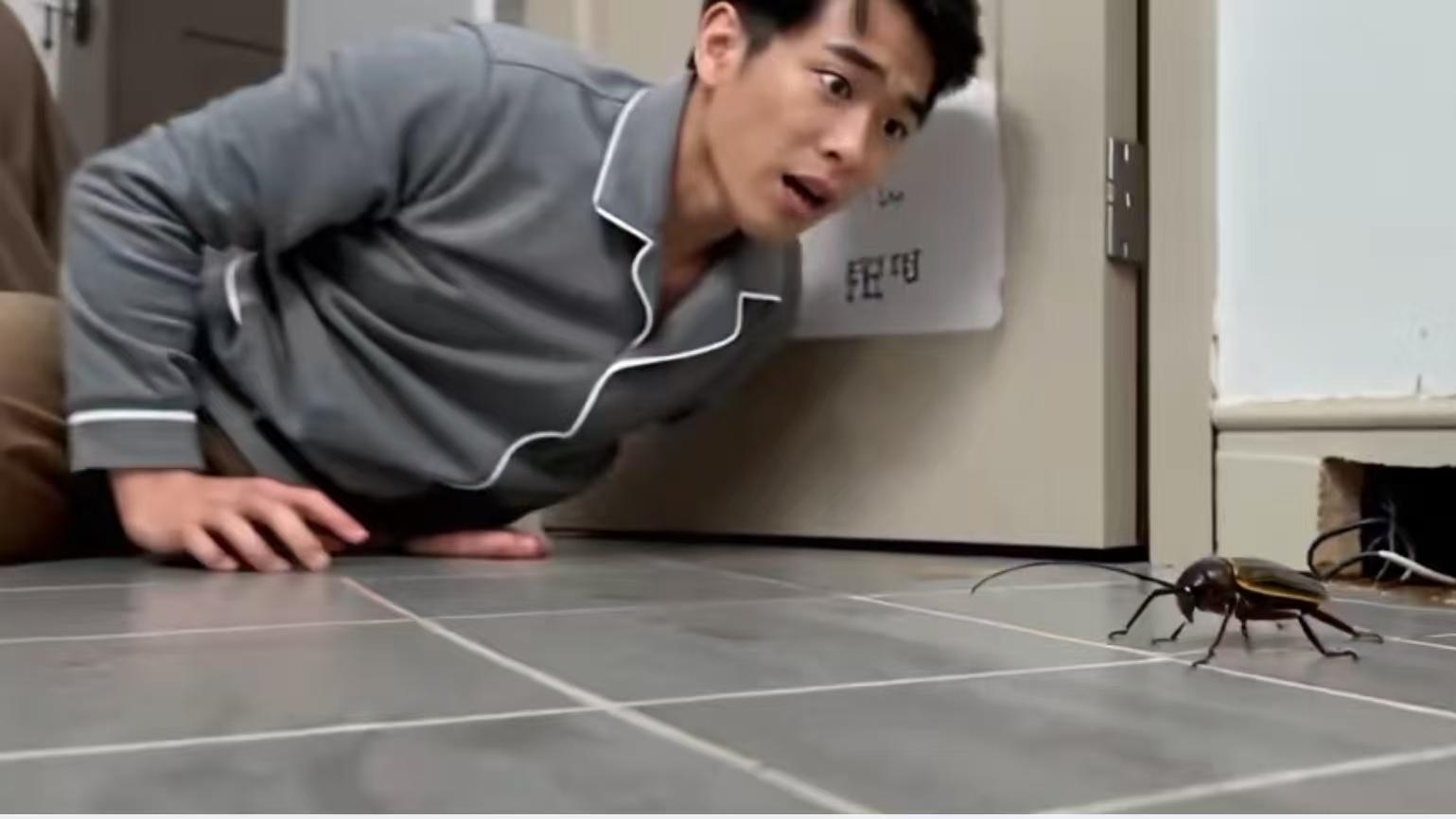 家庭灭蟑螂经常会踩到的坑