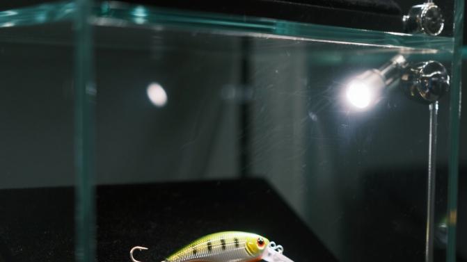 这是新人破龟的信心饵，也是老手的掏撬动利器，用过的都说好