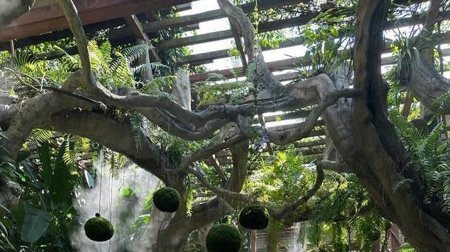 刚从广西南宁旅游回来总结的攻略，即使本地人都很难总结这么全