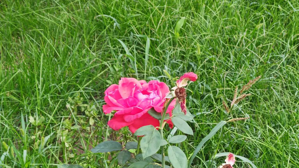 比较是快乐的坟墓，远离让你伤心的人