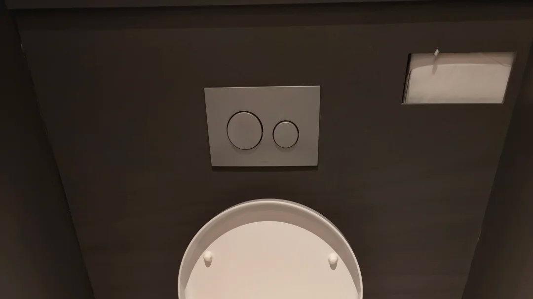 张凯毅 请把女厕的马桶取消吧