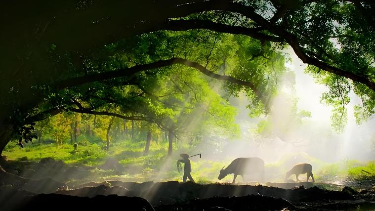 《滴天悬解》六亲论 性情 三