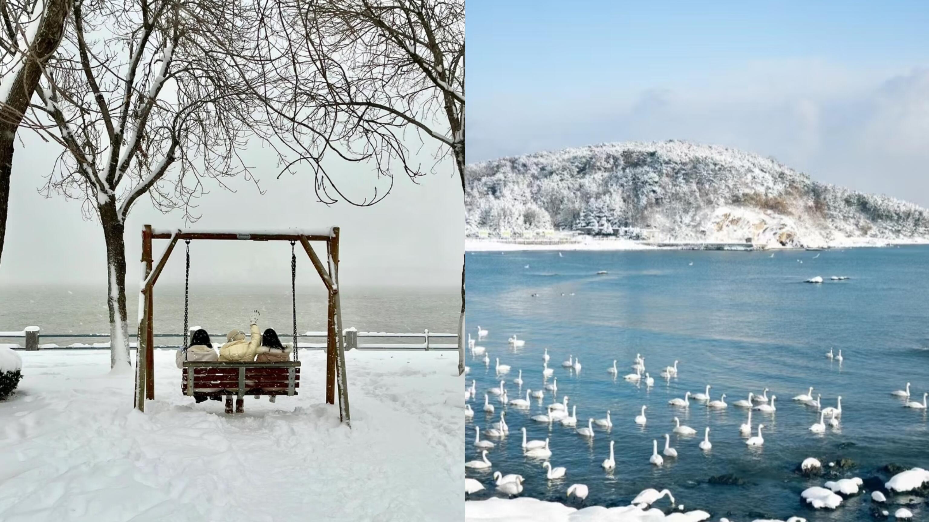 12月到2月旅行，威海游玩指南