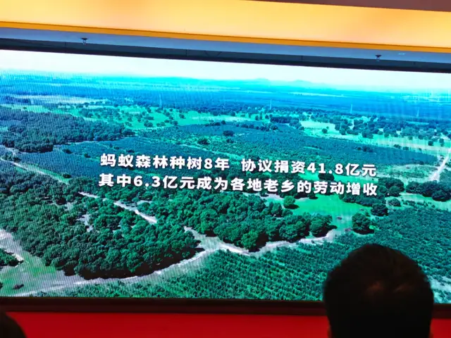 河北丰宁走访：蚂蚁森林汇聚万千“能量”，助力乡村振兴