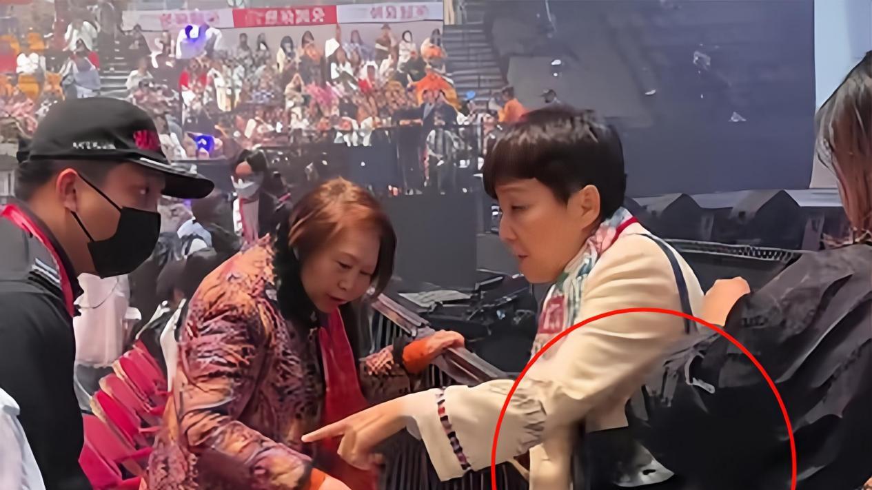 四太看刘德华演唱会！拎俩35万爱马仕，却被穿百元棉服郭晶晶抢镜