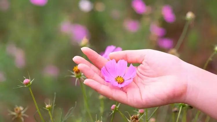 中年人生路，有个懂你的人真好。