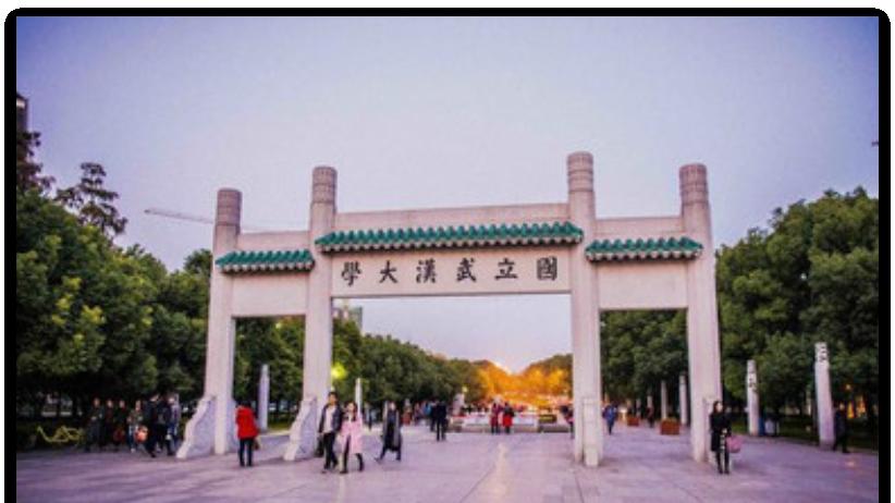 武汉大学图书馆“性骚扰”事件：这个女生太厉害，我怀疑她意淫男生