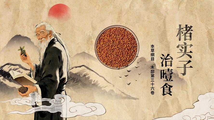 《本草纲目》故事：楮实子治噎食