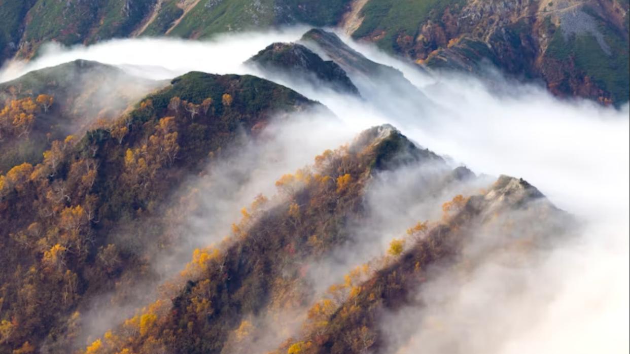 小程序商城哪家技术强？2025年度强大的小程序商城行业报告