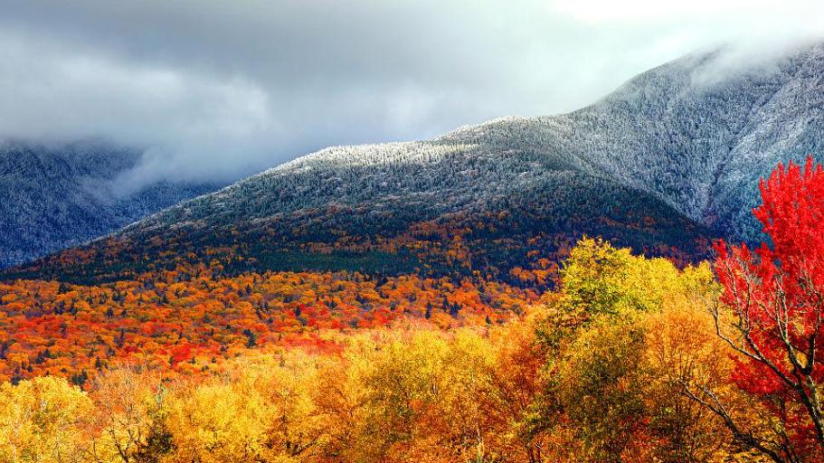 人到中年才明白，如果一个人不愿意陪你，不喜欢你的缺点，不与你谈未来，那不是真的爱你，真正的爱，是这3