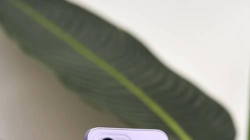 荣耀 300 标准版与 OPPO Reno13 对比：中端机的较量