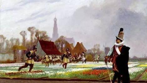 透过现象看本质：郁金香泡沫事件，真是郁金香导致了经济危机吗？