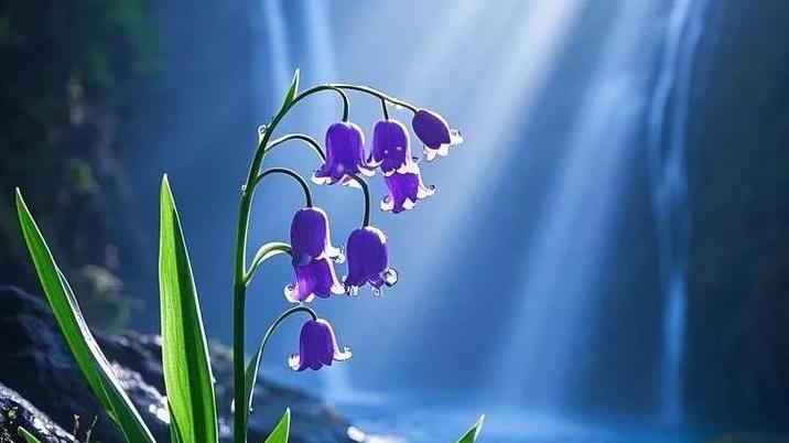 这些特征你熟悉吗？看看你周围有没有这样的人