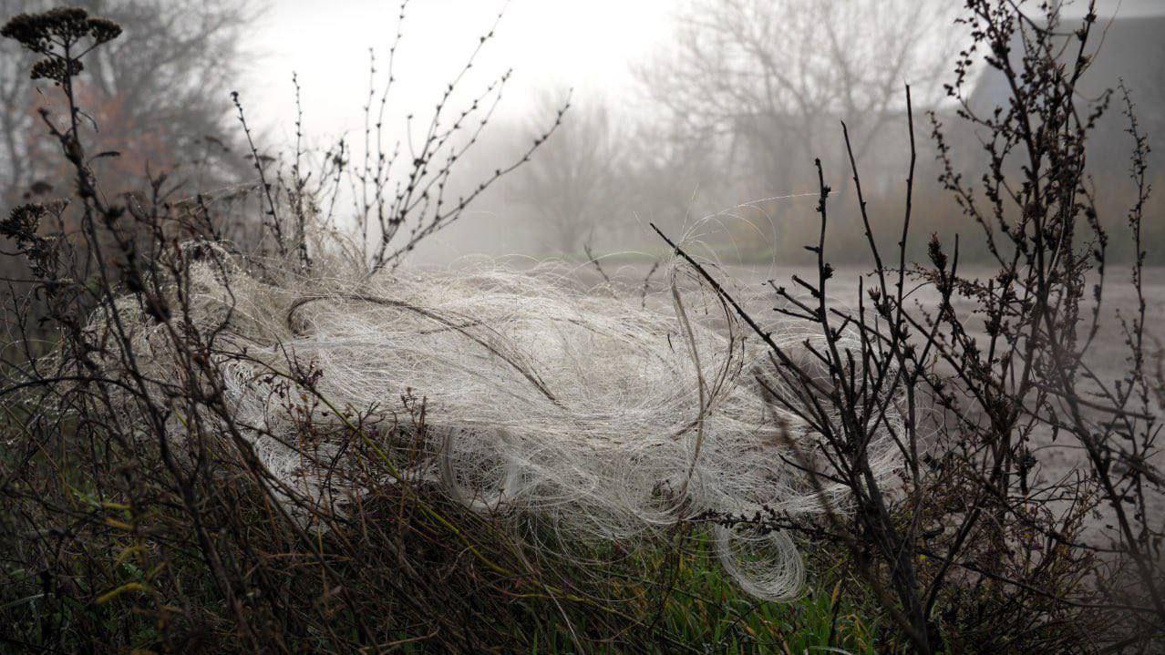 俄罗斯好朋友到来，乌军飞手放假，前线大规模推进