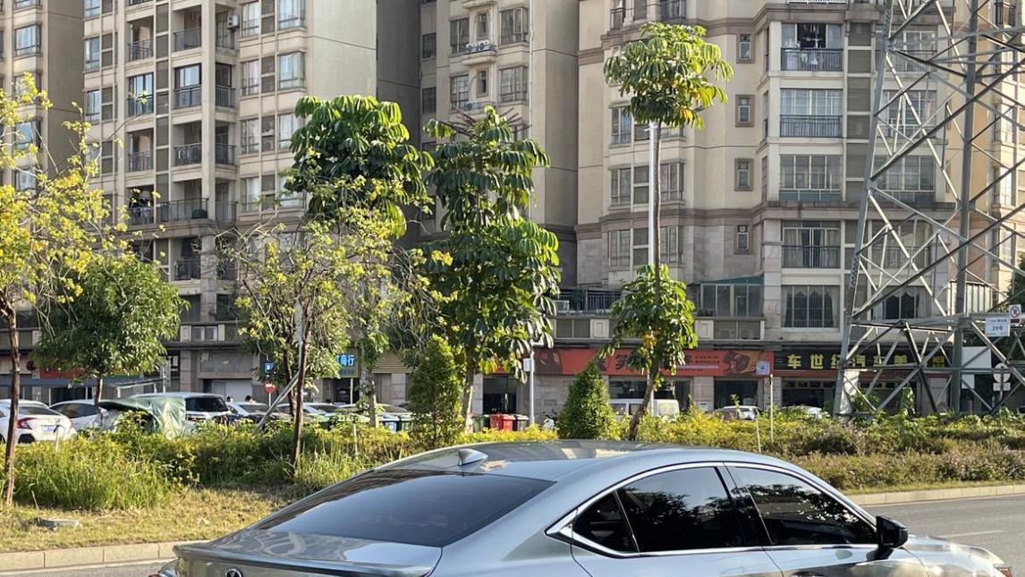油电混动，20万出头的雷克萨斯ES，适合家用吗？