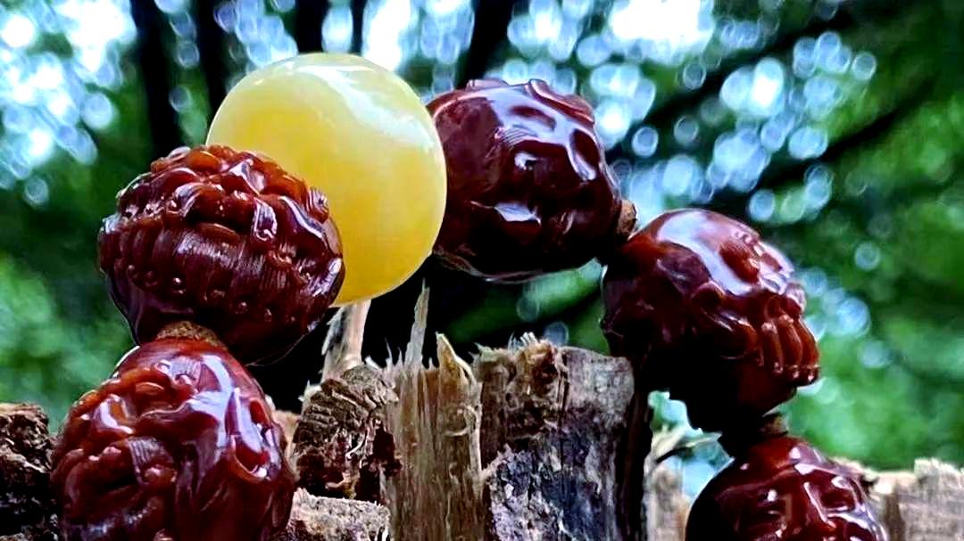 你还在网购橄榄核手串？这几点老玩家经验分享你得看看