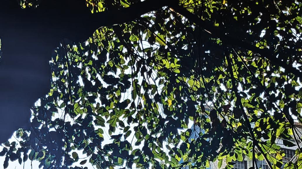 李子柒视频的四大拍摄核心逻辑