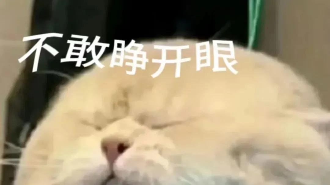 【办公室健康白皮书③ | 凌晨两点的朋友圈，藏着多少“睡眠负债”】
