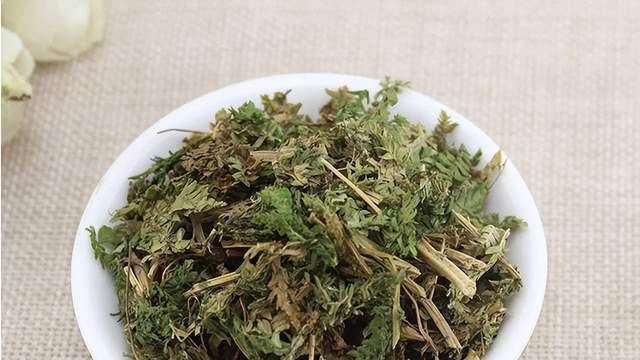 从解毒草到抗瘤药的逆袭之路——石上柏