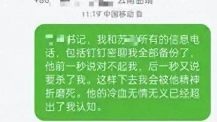 苏某飞和薇媛的关系真的只是工作关系吗？