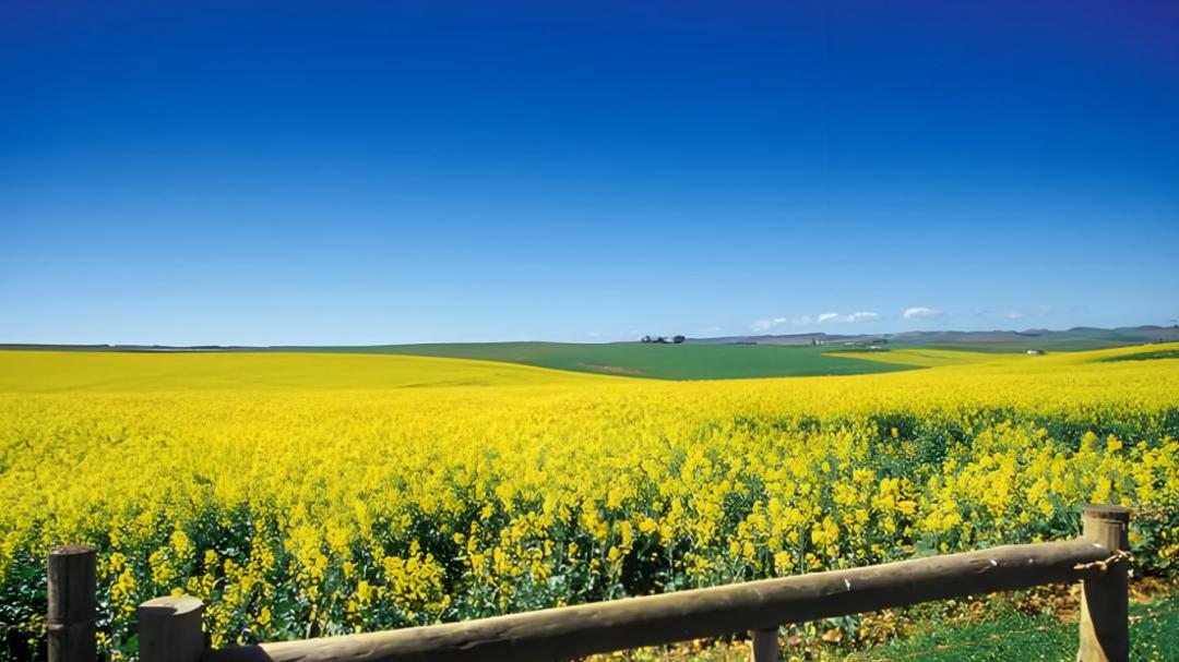 “内卷”和“躺平”之间，有条“45度人生”