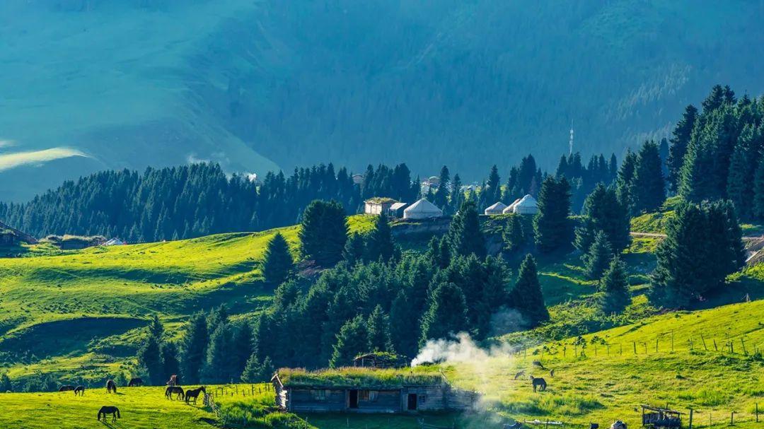 媲美林芝的顶级春色来袭！一年仅一周，奉上这份保姆级赏花攻略！