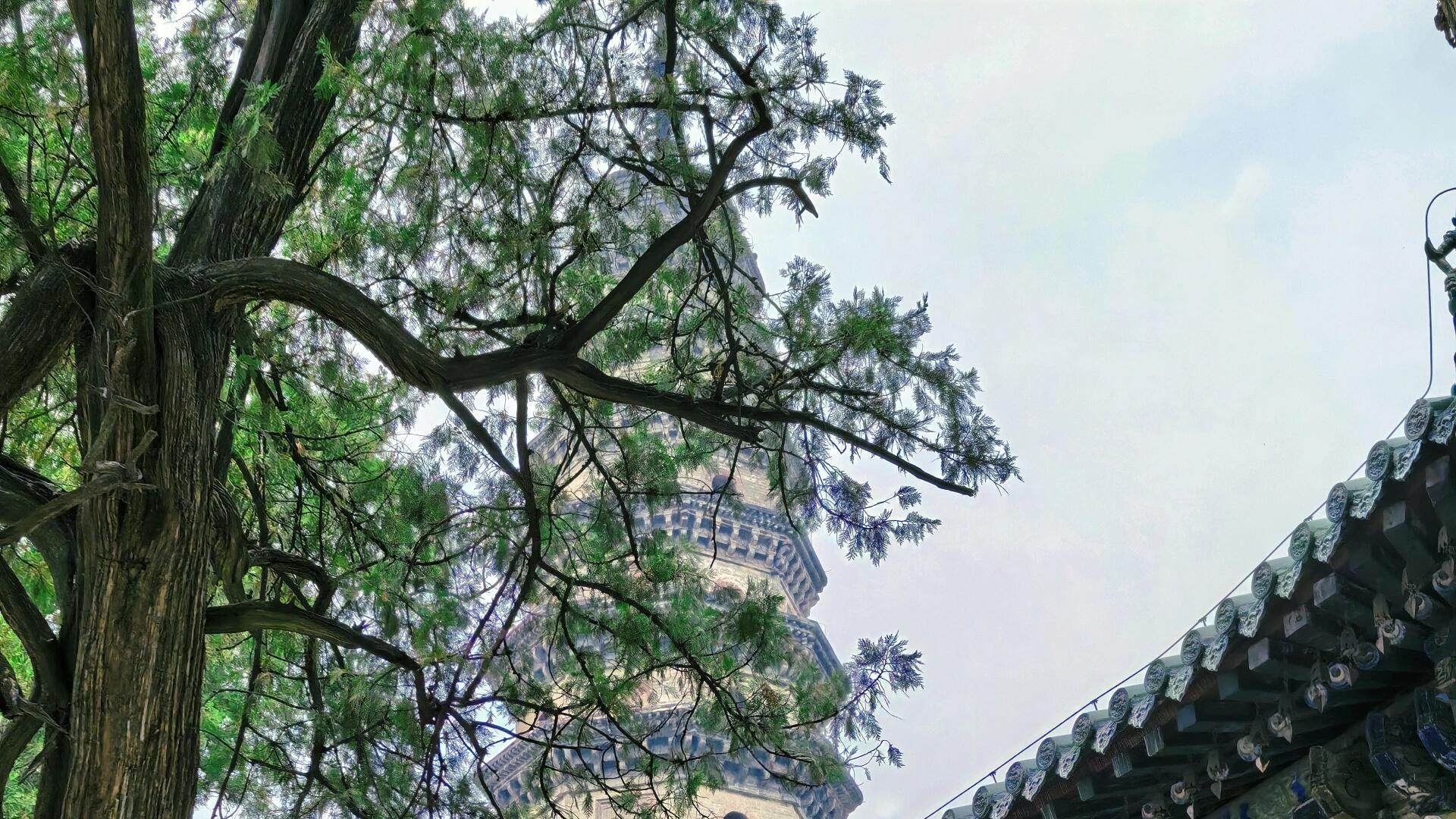 被低估的古迹！山东灵岩寺，小众宝藏地等你发掘