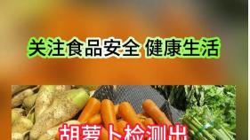 扫码查不到的有机菜，都是耍流氓！一物一码让每一颗菜自证清白