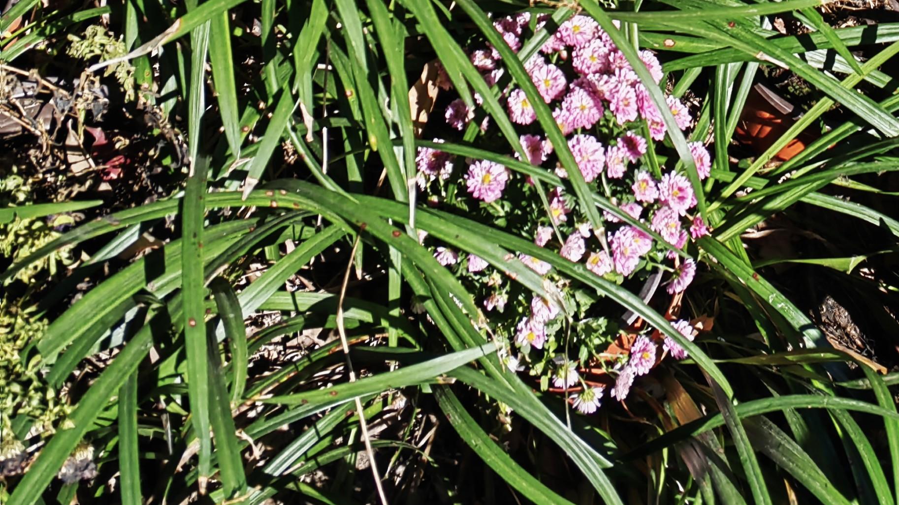 职场看剧：有事儿，他真上