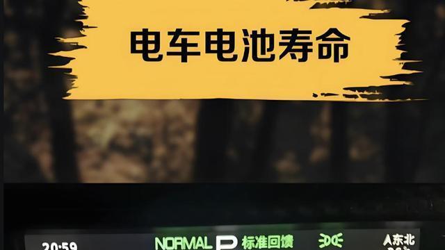 新能源车电池寿命揭秘，5年以上老车实测，续航衰减真相大公开