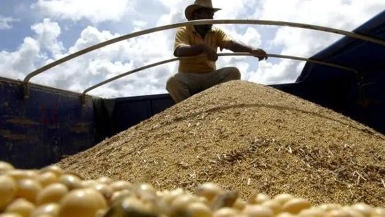 巴西年产3亿吨粮食，却有3000万人吃不饱饭，中国险些也中招